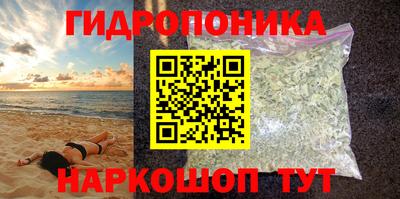 гашик Донской