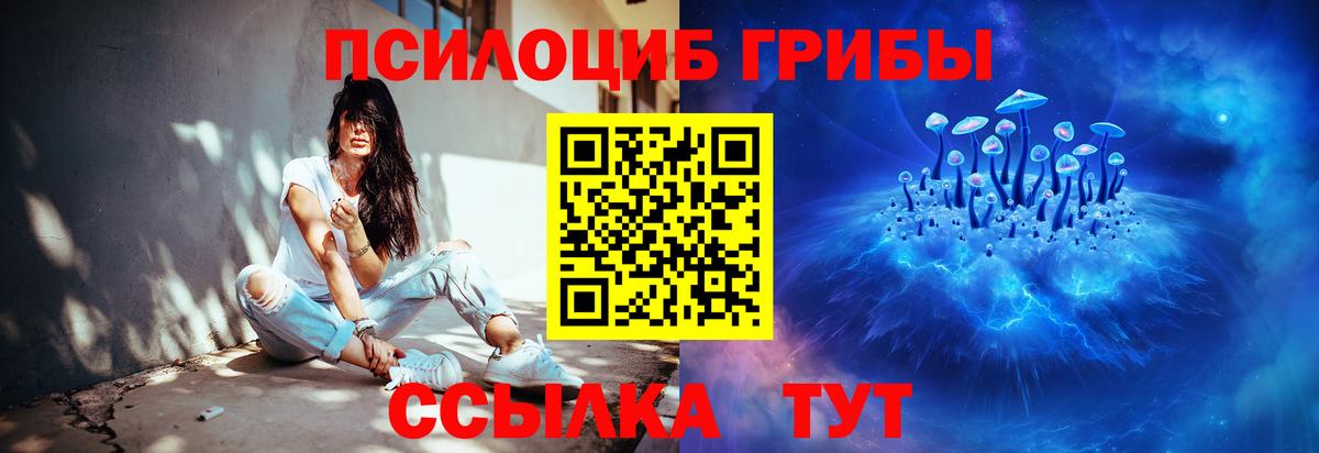 Галлюциногенные грибы Psilocybe  Вход с VPN  Ефремов  Галлюциногенные грибы Magic Shrooms 